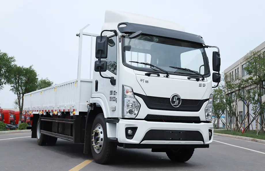 Shacman E9 4×2 Flatbed Cargo Truck-4