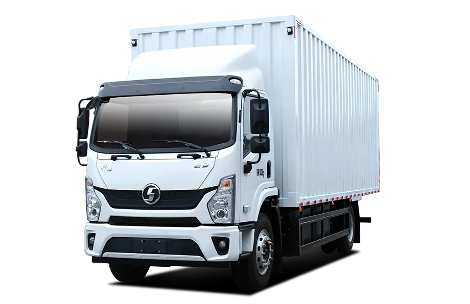 Shacman E9 4×2 Light Van Truck-9
