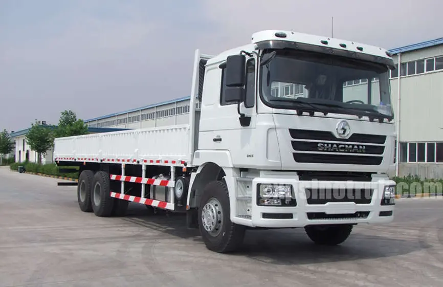 Shacman F3000 6X4 Cargo Truck-3