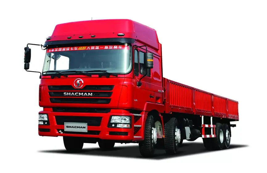 Shacman F3000 8X4 Cargo Truck -1