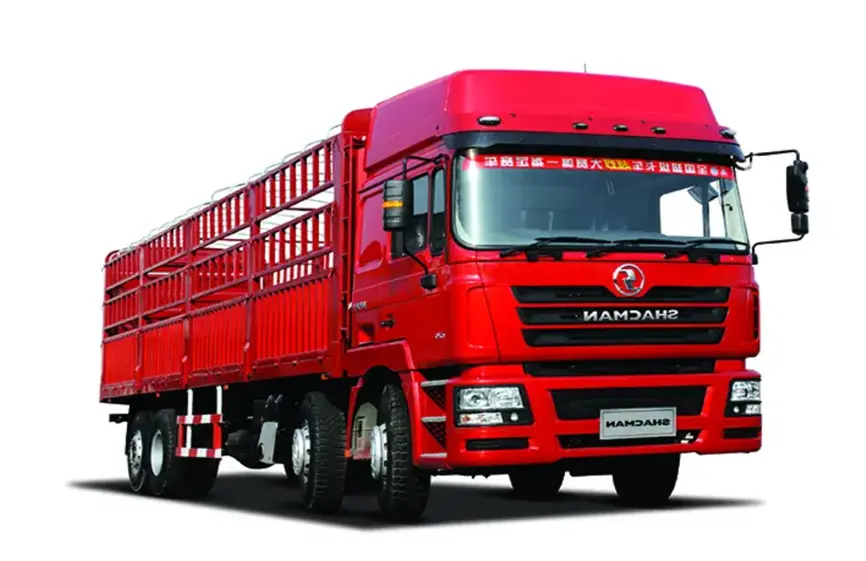 Shacman F3000 8X4 Cargo Truck -4