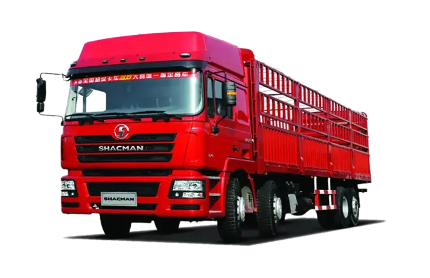 Shacman F3000 8X4 Cargo Truck