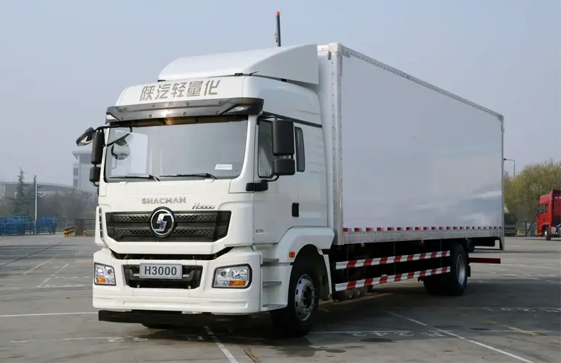 Shacman H3000 Light Truckk -3