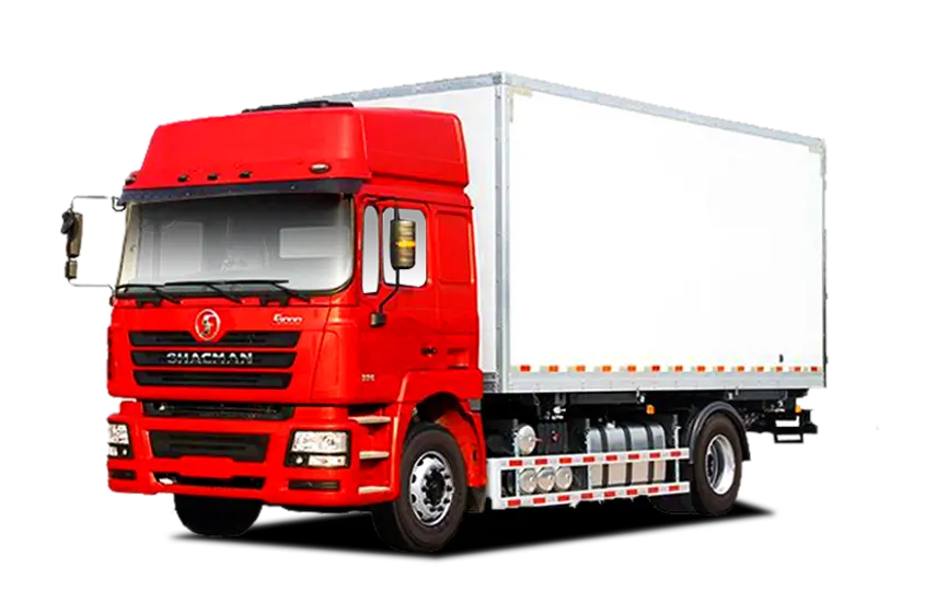 Shacman Light Cargo Truck